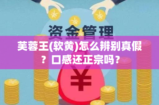 芙蓉王(软黄)怎么辨别真假？口感还正宗吗？